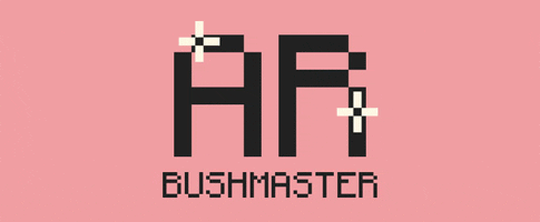 AR the Bushmaster – Lost My Phone